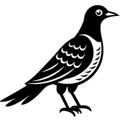  Vector art of cuckoo icon silhouette illustration