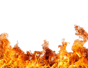 Burning fire flames border white texture isolated on a transparent or white background. © Hanoi .s