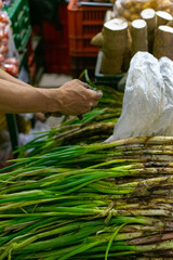 Farmer vendor cleans the long onion for display at an organic market in the city of Medellin, Colombia.