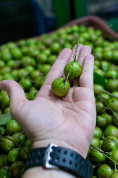 White man's hand selecting mamoncillos (Melicococcus bijugatus), at a farmer's market in the city of Medellin, Colombia.