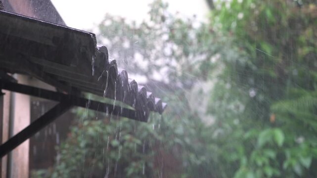 Stormy and windy, rain water downpour falling from roof of a house. Swaying trees at the background. Movie