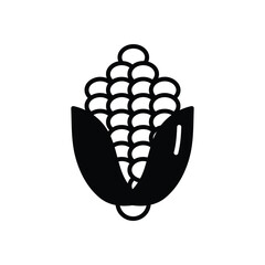 Corn vector icon