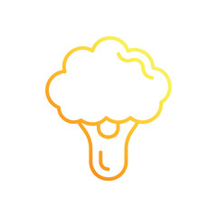 Broccoli vector icon