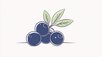 Obraz premium Artistic line drawing of a blueberry, minimalist hand-drawn style, clean lines on white background, elegant and modern