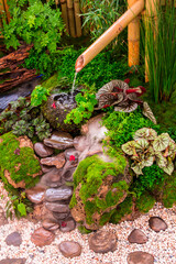 Minimal Japanese garden in home with small stone lantern and bamboo fountain and moss and flowers.
