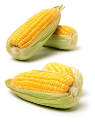 Corn on a white background 