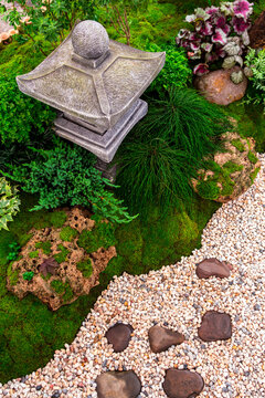 Minimal Japanese garden in home with small stone lantern and bamboo fountain and moss and flowers.
