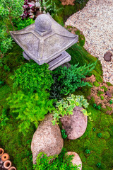Minimal Japanese garden in home with small stone lantern and bamboo fountain and moss and flowers.
