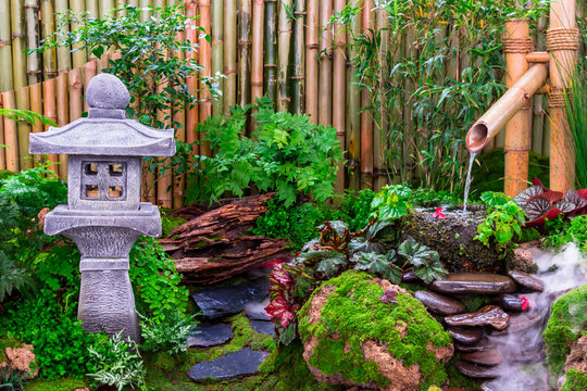 Minimal Japanese garden in home with small stone lantern and bamboo fountain and moss and flowers.
