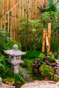 Minimal Japanese garden in home with small stone lantern and bamboo fountain and moss and flowers.
