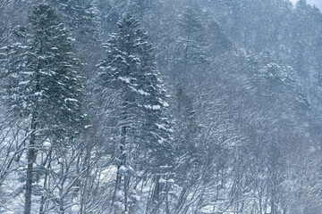 The view of the city in Japan is beautiful. And the snow is falling, making it a cold atmosphere.