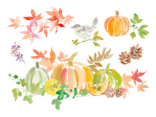 A set of vector illustrations of pumpkins, autumn leaves, and birds painted in watercolor with an abstract style