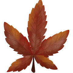 Autumn leaves,Watercolor clipart,Fall foliage,Hand-drawn leaves,Fall watercolor,Seasonal clipart,Autumn decor,Fall digital art,Thanksgiving clipart,Fall nature elements,Watercolor leaves,Autumn design