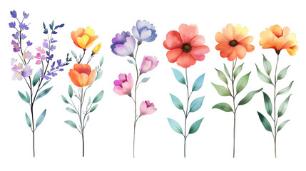 set of watercolor bouquet of flower isolated on transparent