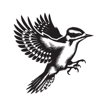 recommend clip art: Downy woodpecker silhouette, Woodpecker  Bird Clipart,  Downy Woodpecker Hovering In Mid-air illustration