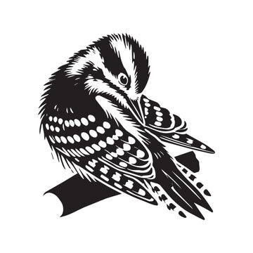recommend clip art: Downy woodpecker silhouette, Woodpecker  Bird Clipart, Downy Woodpecker preening feathers illustration