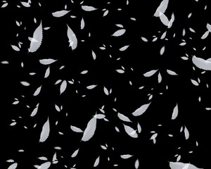 Abstract black background with floating white leaves, ethereal and calming, perfect for nature and minimalist designs