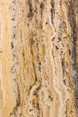 Closeup of old cream coloured marble wall tile for use as a background texture