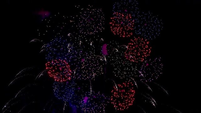 [納涼花火大会] いたばし花火大会（彩色千輪　千輪菊）カラフル