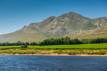 Waboomskraal in the Outeniqua Mountains Hops farms and fynbos, floral kingdom in South Africa.