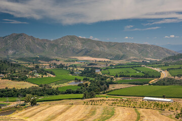 Naklejka premium Waboomskraal in the Outeniqua Mountains Hops farms and fynbos, floral kingdom in South Africa.