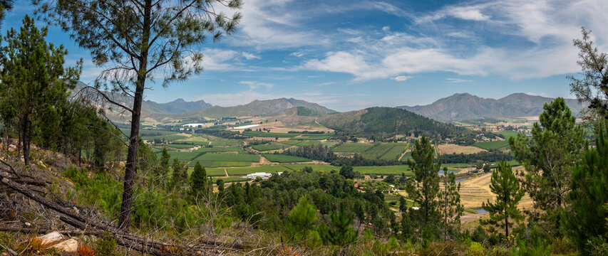 Waboomskraal in the Outeniqua Mountains Hops farms and fynbos, floral kingdom in South Africa.