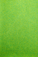 ミニチュア芝生イメージ