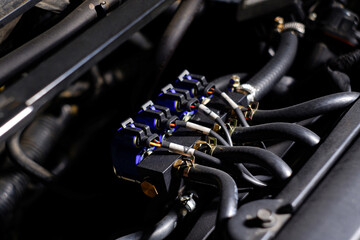 Propane or LPG fuel injector rail for propane or LPG fuel system of the car , car alternative fuel...