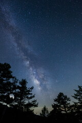 八ヶ岳の森から天頂に向かって輝く天の川