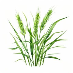 Fototapeta premium the AI Image Generator, Long green grass blades on a transparent background.