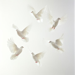 Obraz premium doves floating in the air