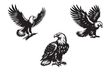 Eagle  vector silhouette art line illustration .eps