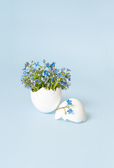 Delicate blue flowers arranged in cracked eggshell on pastel blue background.