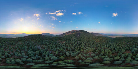360 great views in blue cedar forests