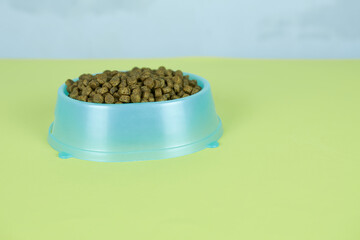 Dry cat food in blue bowl on green background with copy space