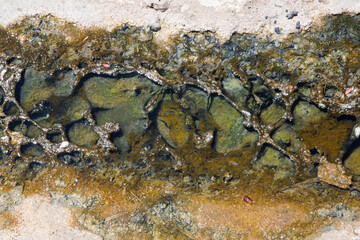 Geothermal pool forming abstract shapes with green algae