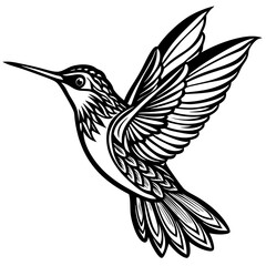 Hummingbird art vector