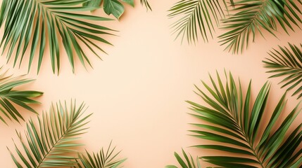 Beautiful Tropical Palm Leaves on a Soft Background