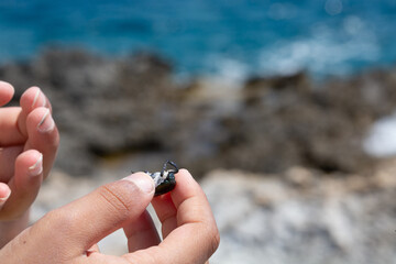 Child holding a beetle with the ocean in the background © Alessandro Grandini