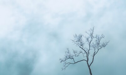 Fototapeta premium tree silhouette against rainy clouds, Generative AI