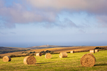 August hay bales on Warren Hill with Belle Tout lighthouse in the background on the south downs east Sussex south east England UK