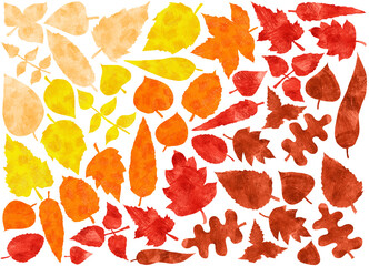Set of autumn leaves of different shapes. Colored pencils. Arranged on gradient. From the upper left corner to the lower right, from light to dark. White background. Peach, yellow, orange, red, brown.