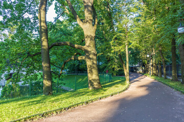 A park with a path lined with trees and a grassy area