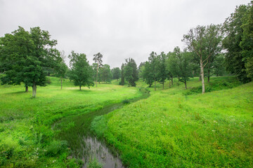 A lush green field with a small stream running through it