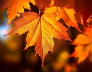 Maple leaves with autmn fall vibes as wallpaper