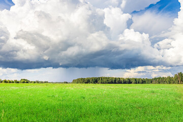 A field of grass with a storm cloud in the sky