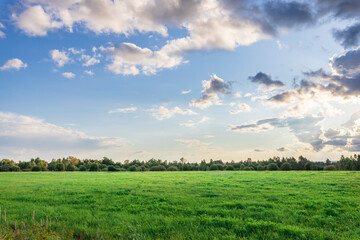 A large, open field with a clear blue sky and a few clouds