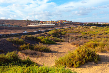 Naklejka premium landscape of Coastline in Fuerteventura, Canary Islands, Spain. Surroundings with sandy terrain and distant mountains. Barren, dry field with a few trees and bushes