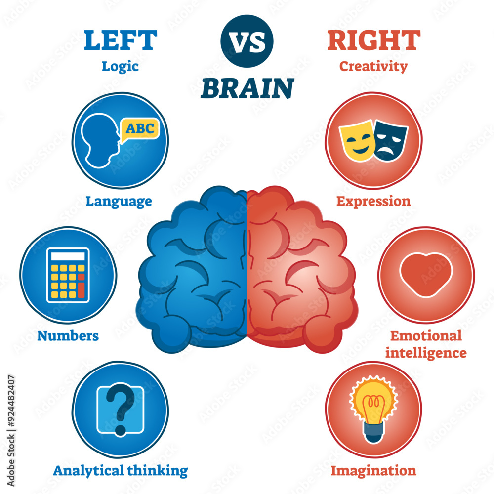 Poster left versus right brain traits diagram, illustration with icon symbols, transparent background. cere