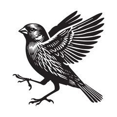 Fototapeta premium House finch silhouette, Bird Clipart, House Finch in mid-hop illustration in black and white 